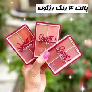 قیمت و خرید پالت رژگونه 4 عددی دودوگرل مدل sweet شماره 1 و 2 و 3