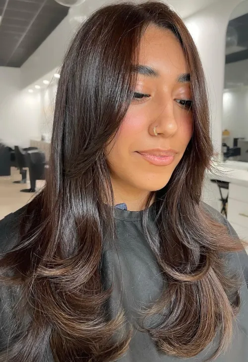 رنگ موی قهوهای تیره براق